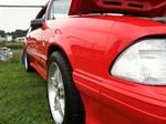 Photo Thumbnail