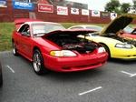 Photo Thumbnail
