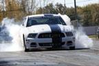 Photo Thumbnail