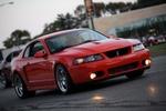 Photo Thumbnail