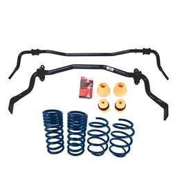 2015-2020 MUSTANG STREET SWAY BAR AND SPRING KIT